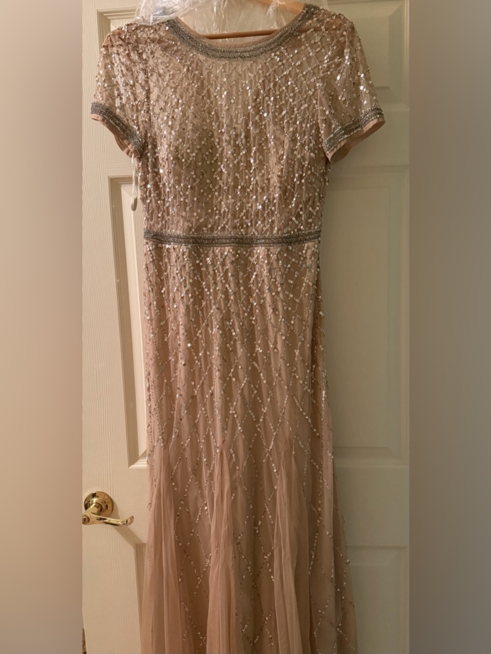 Adrianna Papell Blush Pink Sequin Embellished Dress